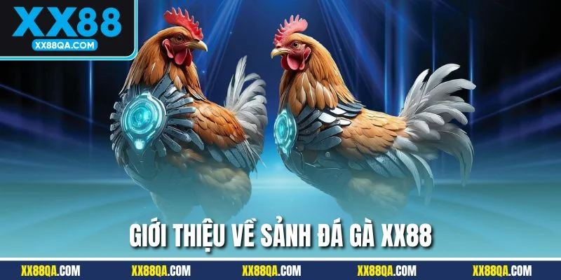 Thông tin cơ bản về sảnh đá gà XX88