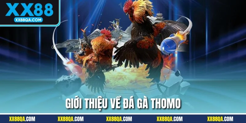 Những thông tin chi tiết cần nằm về đá gà Thomo