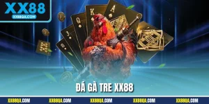 Đá Gà Tre XX88 – Kịch Tính Mỗi Trận Cược