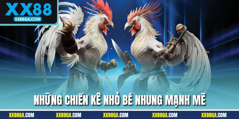 Gà tre - chiến kê nhỏ bé nhưng mang sức mạnh bền bỉ