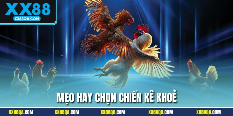 Mẹo để chọn cho mình 1 chiến kê khoẻ
